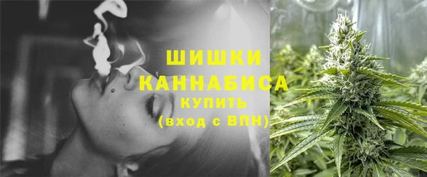 ГАЛЛЮЦИНОГЕННЫЕ ГРИБЫ Арсеньев
