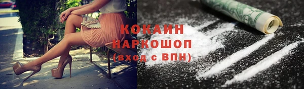spice Новозыбков