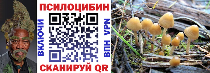 Псилоцибиновые грибы прущие грибы Усть-Илимск